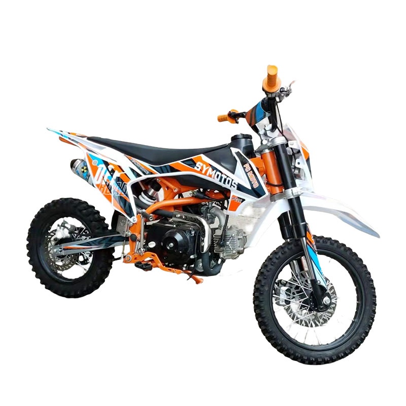 dirt bike 110CC（MK04）