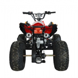 ATV 110/125cc （ATV-4）